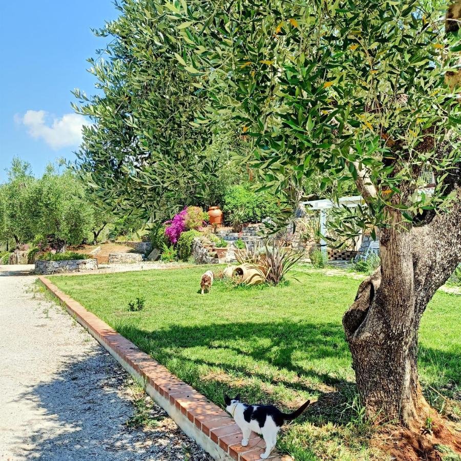 Tarohouse Marina Di Camerota Apartment Exterior photo